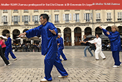 TAI CHI CHUAN à Saint Germain En Laye sous la direction technique de Maître Yuan Zumou.